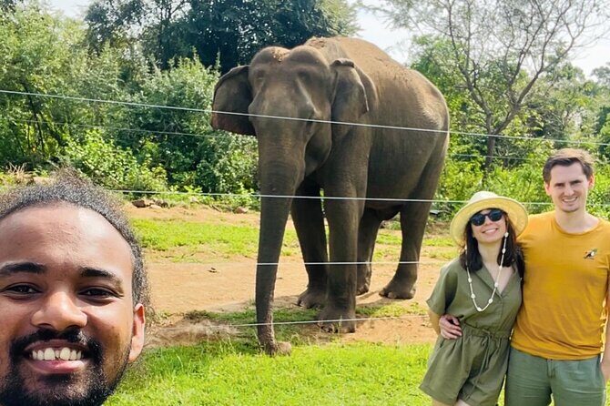 Ella Day Trip with Train Ride Waterfalls and Tea Factory Tour - An Honest Look at the Ella Day Trip Experience