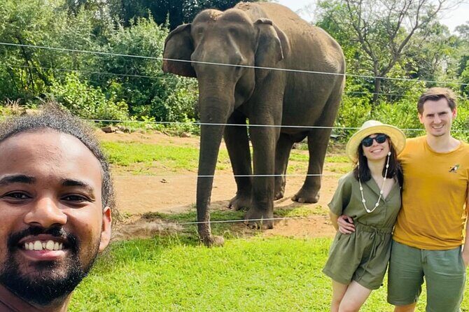 Ella Day Trip with Train Ride Waterfalls and Tea Factory Tour - Good To Know