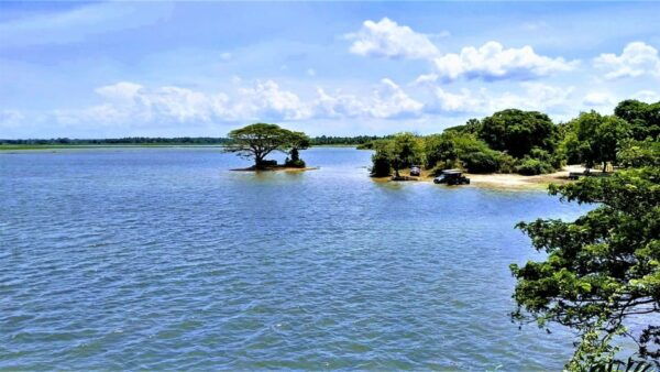 ELLA: Drop off COLOMBO or AIRPORT & UDAWALAWA Safari Tour - Frequently Asked Questions