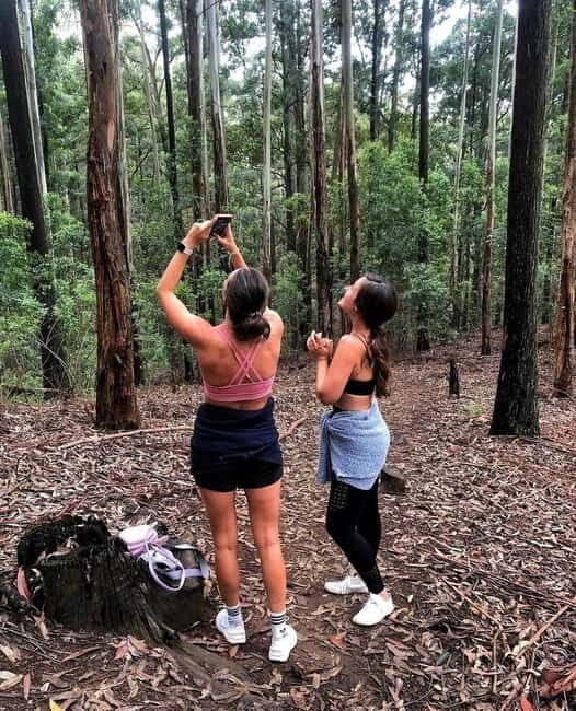 Ella: Ella Rock, 9 Arch, Little Adams Peak, & Waterfall Tour - Ella: Ella Rock, 9 Arch, Little Adams Peak & Waterfall Tour