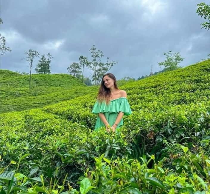 Ella: Ella Rock, 9 Arch, Little Adams Peak, & Waterfall Tour - FAQs