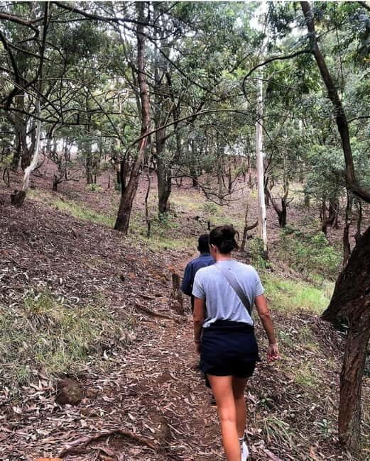 Ella: Ella Rock, 9 Arch, Little Adams Peak, & Waterfall Tour - The Sum Up: Is This Tour Worth It?