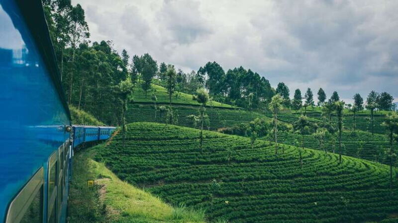 Ella: First Class Scenic Train Ticket To/From Nanuoya - Good To Know
