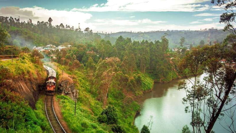 Ella: First Class Scenic Train Ticket To/From Nanuoya - What to Expect During the Ride