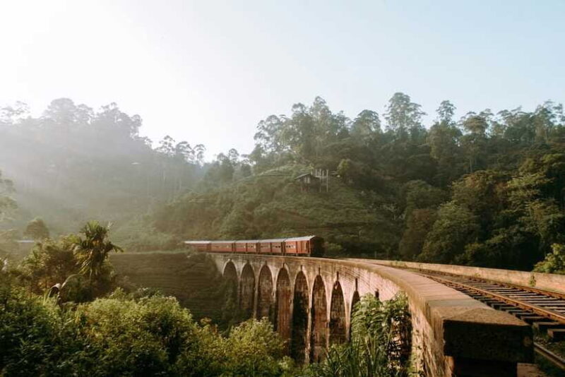 Ella: First Class Scenic Train Ticket To/From Nanuoya - Value and Cost Analysis