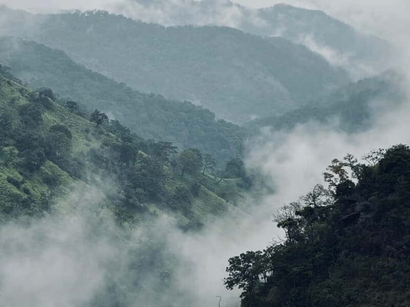 Ella Full-Day Tour from Mirissa/Ahangama/Hikkaduwa/Bentota - Who Should Consider This Tour?