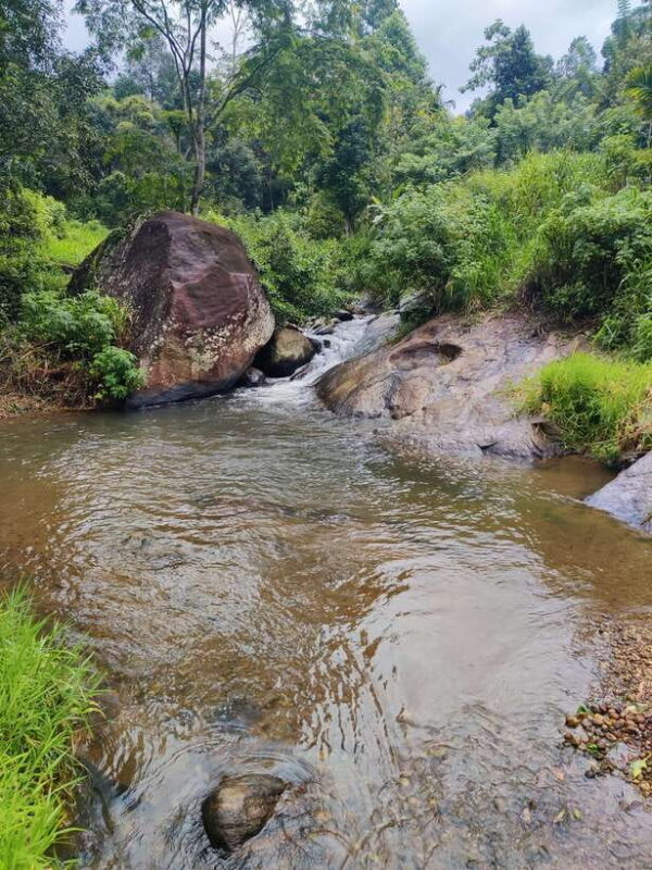 Ella: Guided Day Tour with Tea Estate Visit - Exploring Ella: A Scenic and Cultural Hub