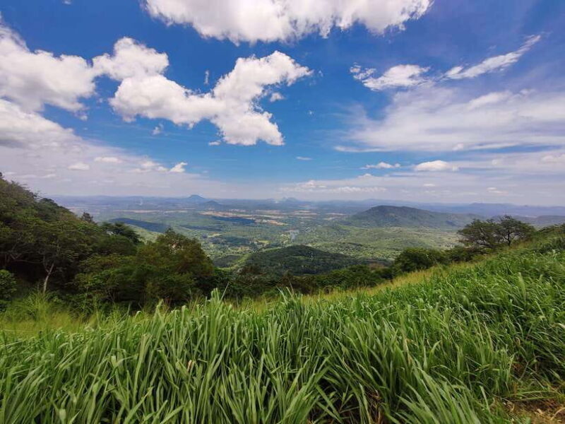 Ella: Guided Day Tour with Tea Estate Visit - Hiking to Little Adams Peak