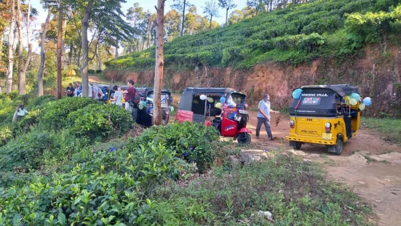 Ella-Haputae Tea Plantation Safari By Tuk Tuk & Liptons Seat - Who Is This Tour Perfect For?