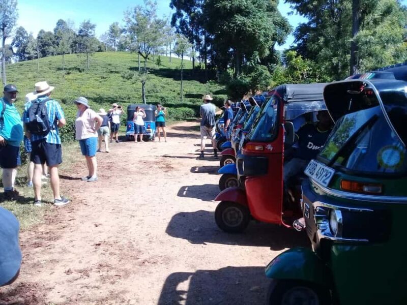 Ella-Haputae Tea Plantation Safari By Tuk Tuk & Liptons Seat - Price & Value