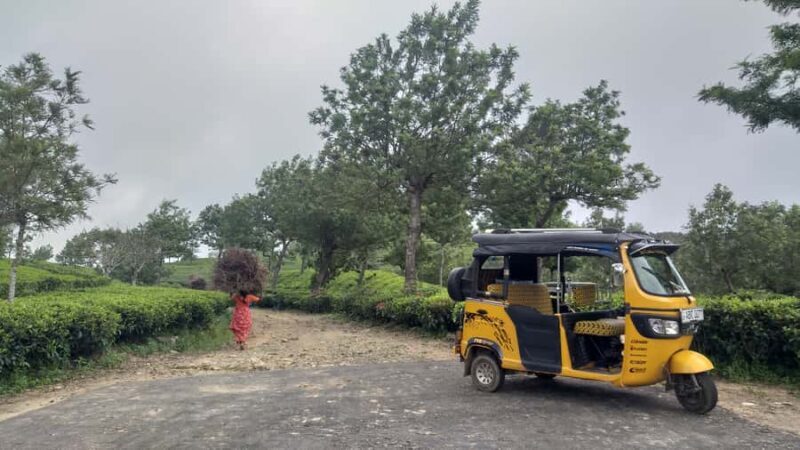 Ella Haputae Tea Plantation Safari By TukTuk & Cooking Class - FAQ