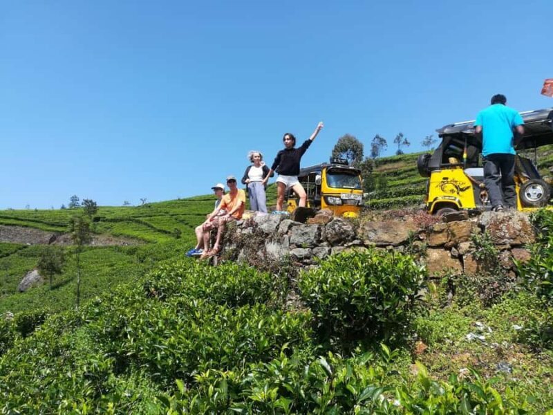 Ella Haputae Tea Plantation Safari By TukTuk & Cooking Class - Exploring the Tea Hills of Sri Lanka