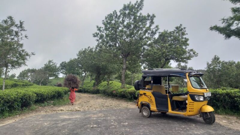 Ella Haputae Tea Plantation Safari By TukTuk & Cooking Class - Practical Details and Considerations