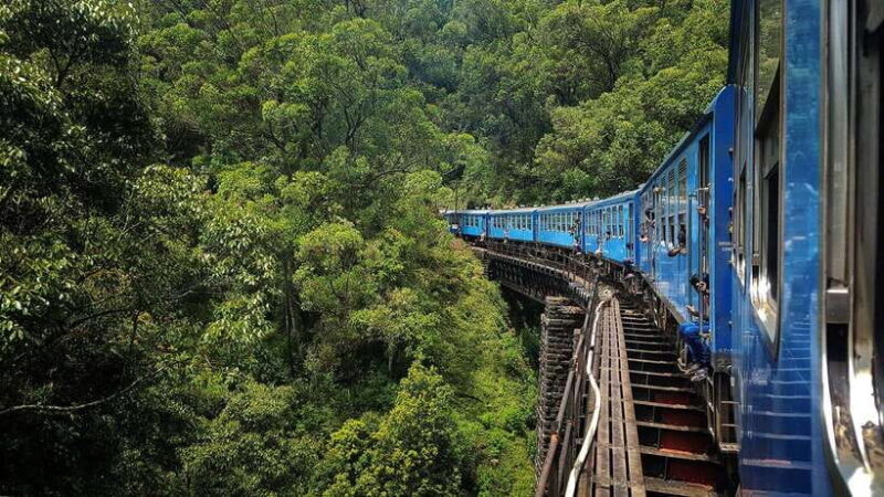 Ella Hill Country Tour : A Perfect Day Tour in Sri Lanka - Ella Hill Country Tour: A Perfect Day Tour in Sri Lanka