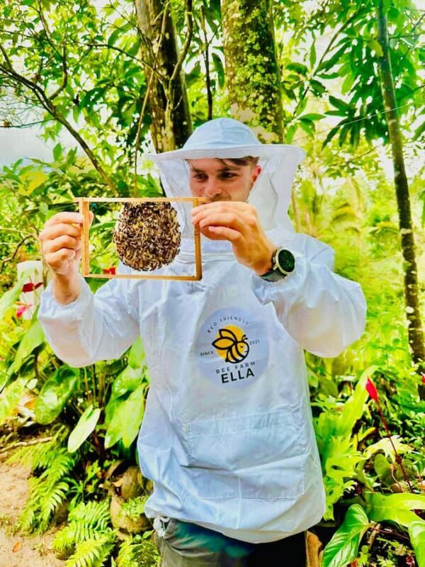 Ella: Honey Bee Farm Tour & Local Honey Tasting Experience - Good To Know