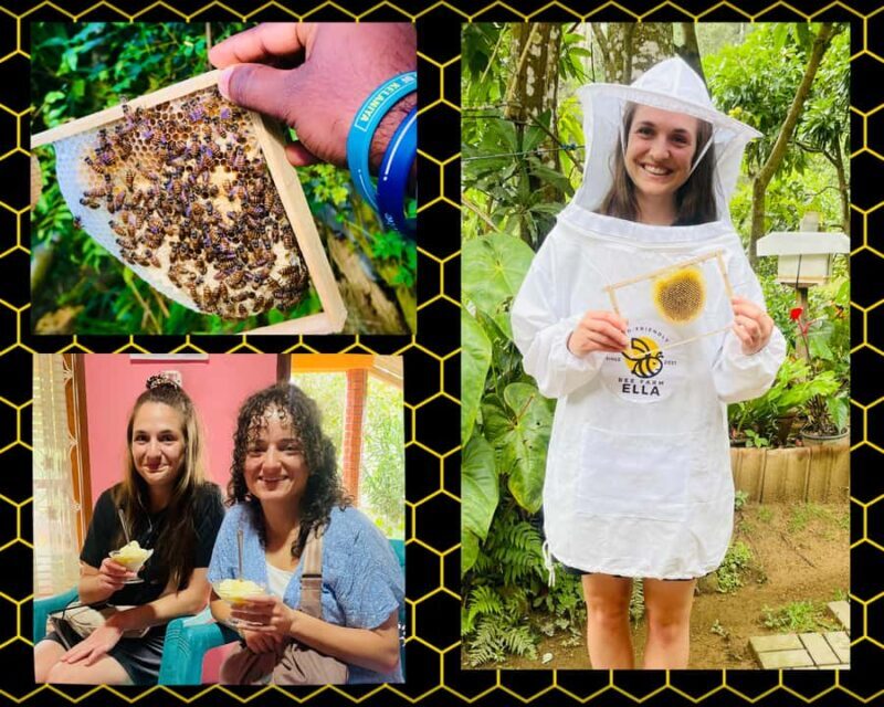 Ella: Honey Bee Farm Tour & Local Honey Tasting Experience - Authentic Insights from Visitors