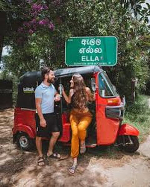 Ella Hotel to Ella Railway Station Private TukTuk Transfer - Booking Process