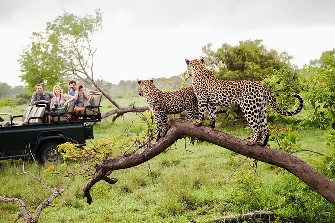 Ella & Kandy Private 2-Day Adventure with Yala Safari - Yala’s animals come with a separate safari bill
