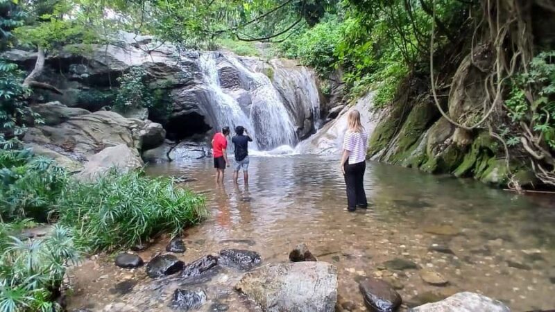 ELLA Lipton Seat Tea Test & Pluck 9Arch, Waterfalls, & Food - Who Should Book This Tour?