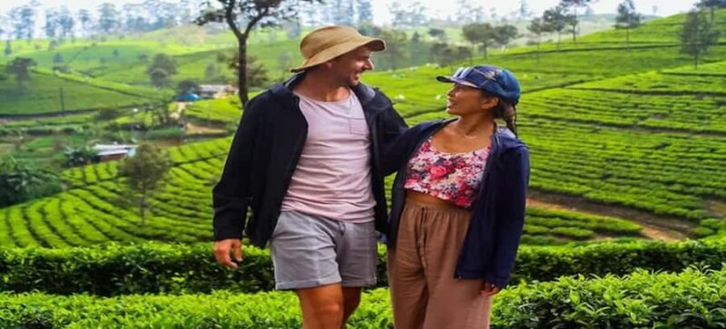 Ella : Liptons Seat, Tea Factory & Adisham Bungalow Tour - FAQs