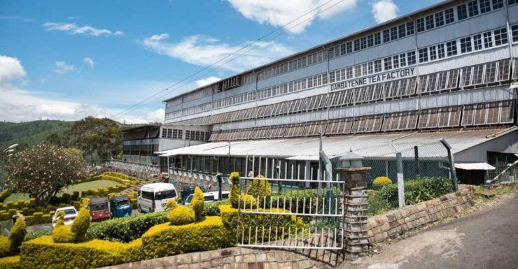 Ella: Lipton's Seat Tour With Dambetanna Tea Factory Visit - Activity Details