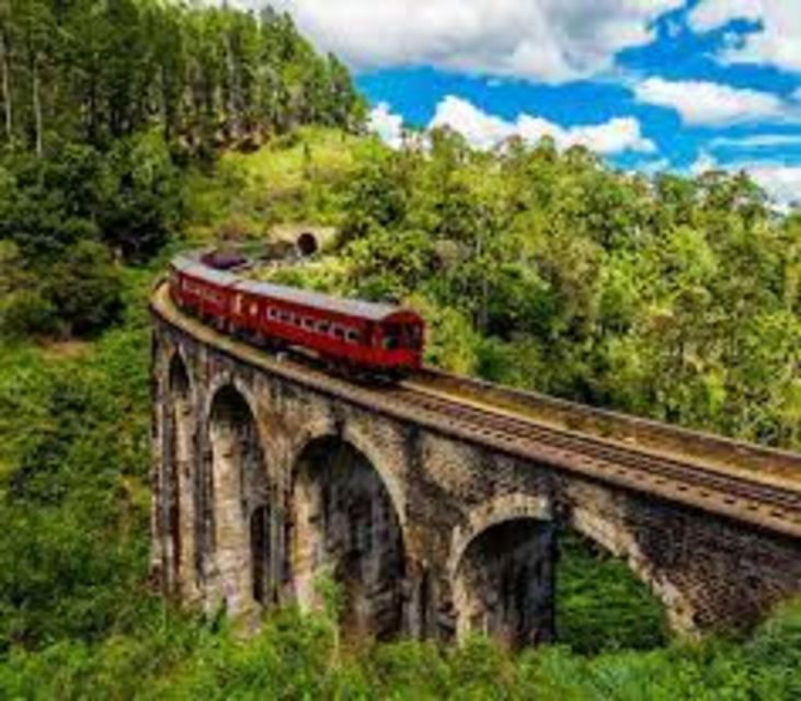 Ella :- Little Adam's Peak , Ella Rock & 9 Arch Bridge Tour - Highlights