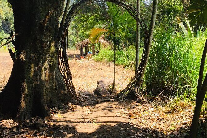 Ella Little Adam's Peak Sunrise Walking Tour Experience - Exploring the Tour: A Deep Dive