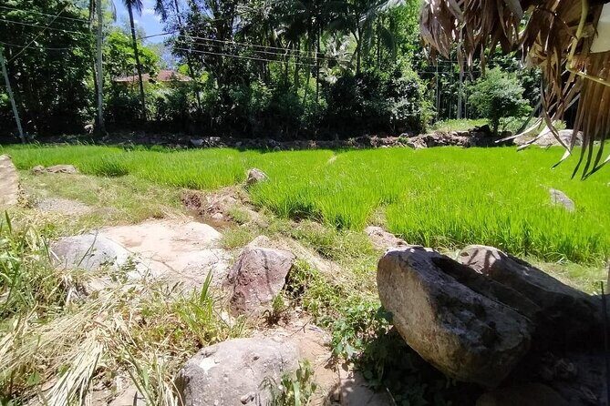 Ella Little Adam's Peak Sunrise Walking Tour Experience - The Sum Up