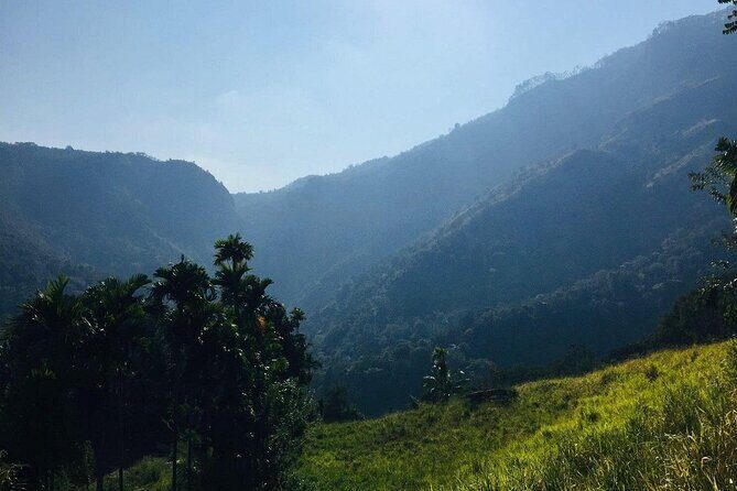 Ella Little Adam's Peak Sunrise Walking Tour Experience - Cost & Value Analysis