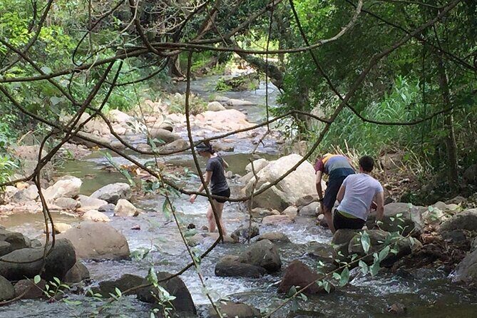Ella Little Adam's Peak Sunrise Walking Tour Experience - Who Will Love This Tour?