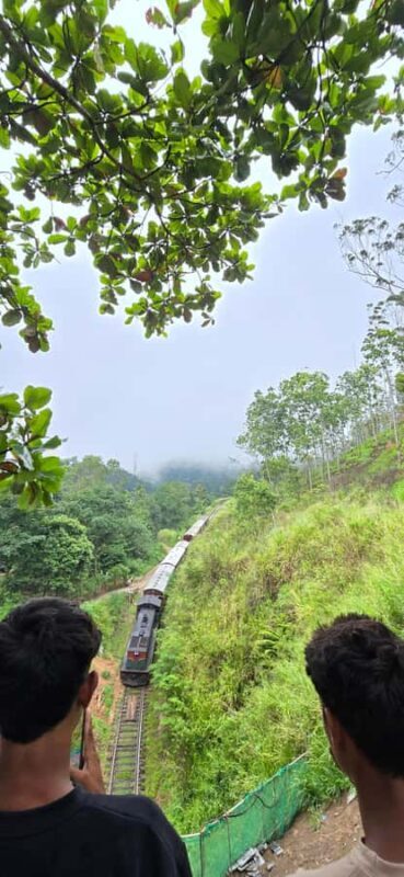 Ella: Nine Arch Bridge, Little Adam's Peak & Waterfalls Tour - Who Should Consider This Tour?