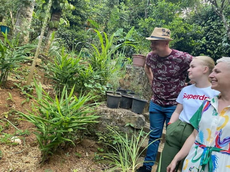 Ella: Nine Arch Spice Garden Tour with Traditional Lunch - Good To Know