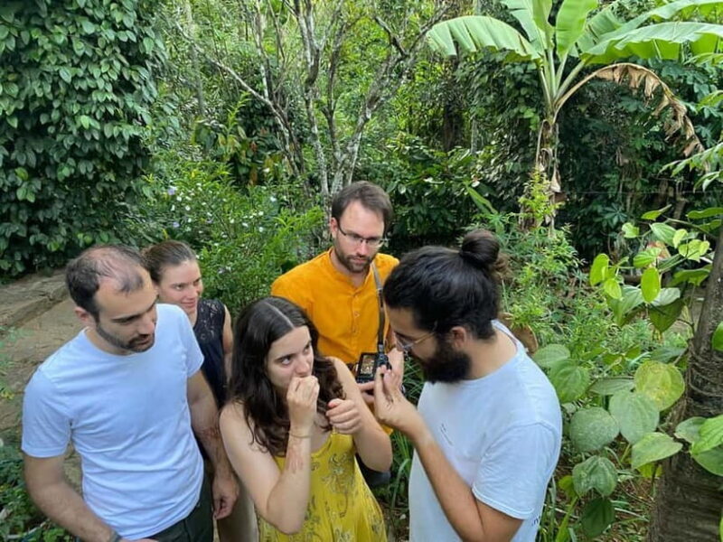 Ella: Nine Arch Spice Garden Tour with Traditional Lunch - Frequently Asked Questions