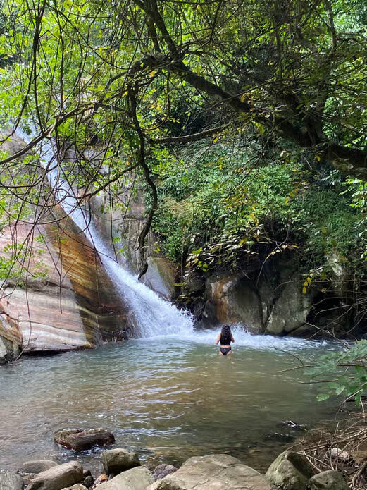 Ella Nine Arches Bridge & Waterfalls Full-Day Experience - What the driver feedback tells you