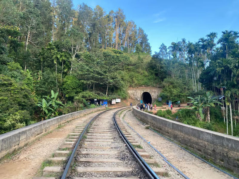 Ella Nine Arches Bridge & Waterfalls Full-Day Experience - Who should choose this Ella outing?