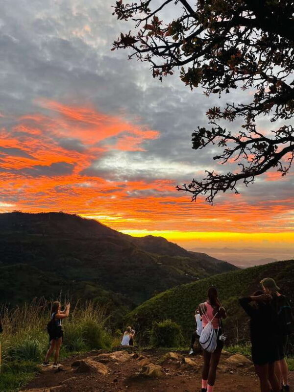 Ella One Day Tour by Tuk-Tuk - Good To Know