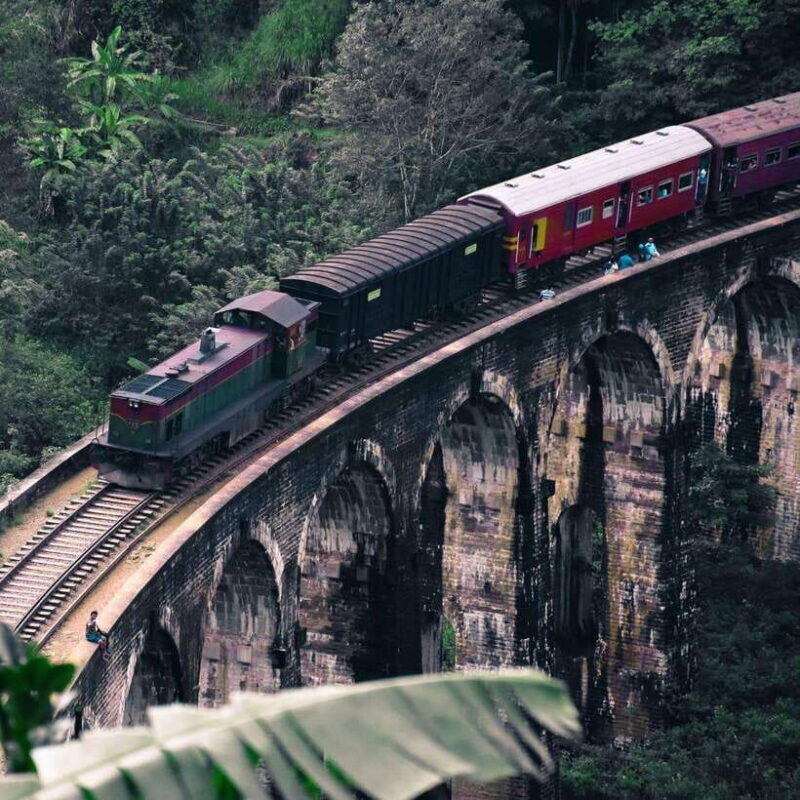 Ella One Day Tour by Tuk-Tuk - Points to Consider