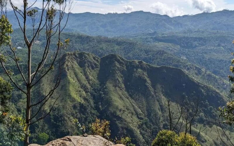 Ella: Pekoe Trail Stage 15 Guided Hike (Makulella to Ella) - Good To Know