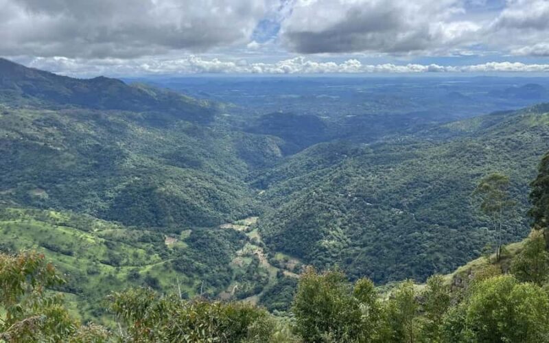 Ella: Pekoe Trail Stage 15 Guided Hike (Makulella to Ella) - Who Will Love This Experience?