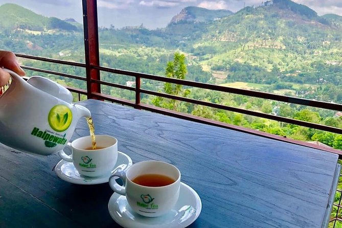 Ella Private Day Tour From Kandy - Pickup and Cancellation Policy
