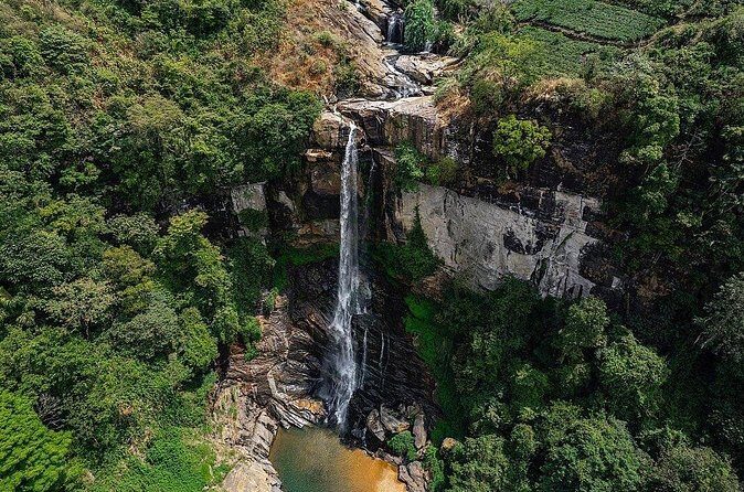 Ella Private Day Tour With Train Ride - Final Words