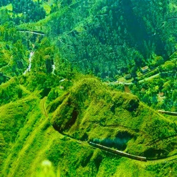 Ella :- Private TukTuk Transfer to Demodara Loop View Point - Tips for a Great Experience