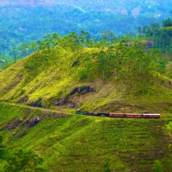 Ella :- Private TukTuk Transfer to Demodara Loop View Point - Frequently Asked Questions