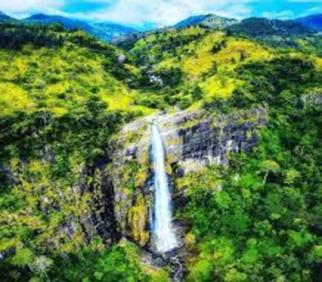 Ella :- Private TukTuk Transfer to Diyaluma Waterfalls - Inclusions and Exclusions
