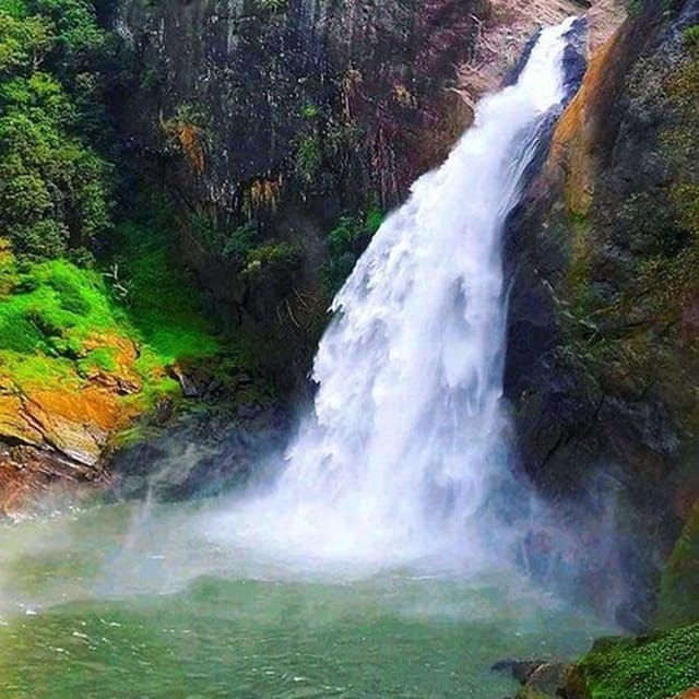 Ella :- Private TukTuk Transfer to Dunhinda Waterfalls - Experience and Highlights