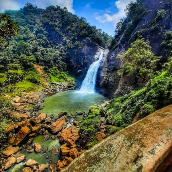 Ella :- Private TukTuk Transfer to Dunhinda Waterfalls - Booking Process