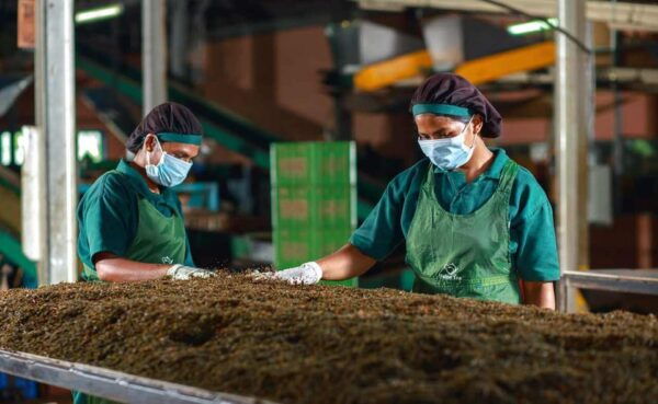 Ella :- Private TukTuk Transfer to Halpewaththa Tea Factory - Frequently Asked Questions