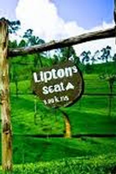 Ella :- Private TukTuk Transfer to Liptonseat & Tea Factory - Booking Process