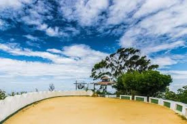 Ella :- Private TukTuk Transfer to Liptonseat & Tea Factory - Local Attractions