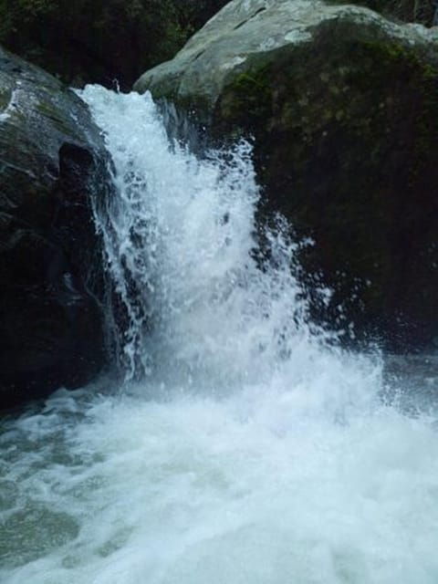 Ella :- Private TukTuk Transfer to Visari Waterfalls - Booking and Cancellation Policy